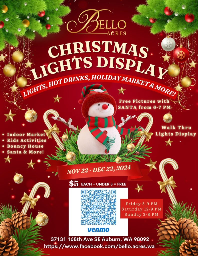 Christmas Lights Extravaganza - Dec 13-15, 2024